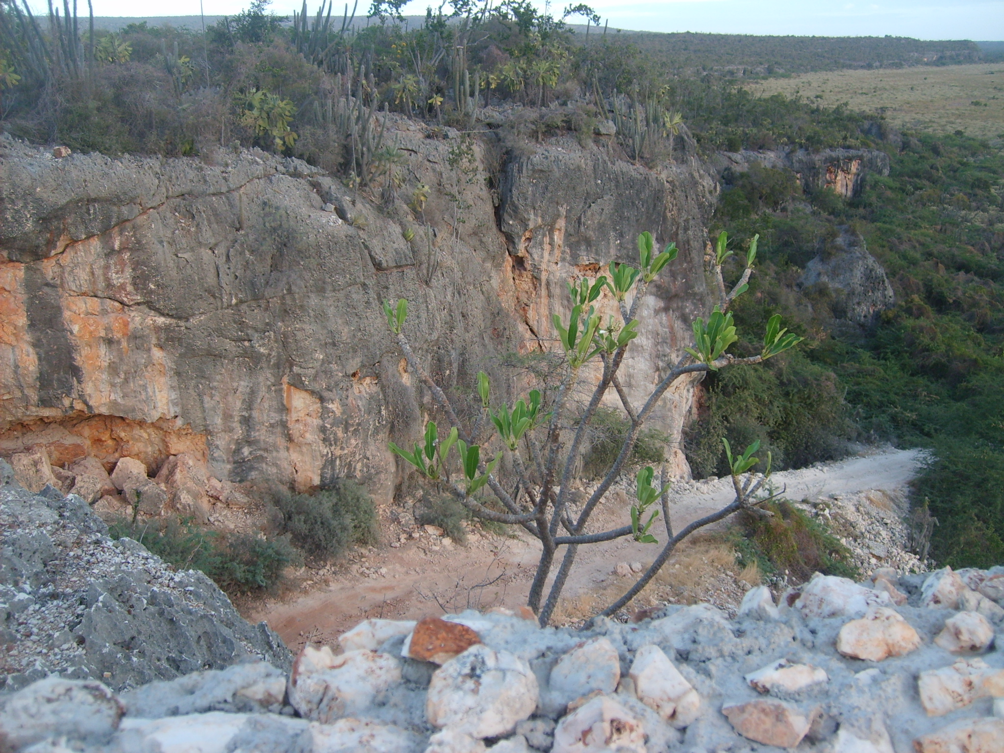 Salto de Aguas Blancas